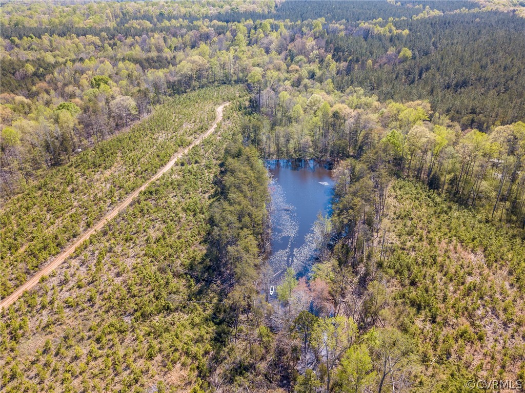614 Plain Dealing Road Palmyra, VA 22963 - Photo 27 of 31 a view of lake