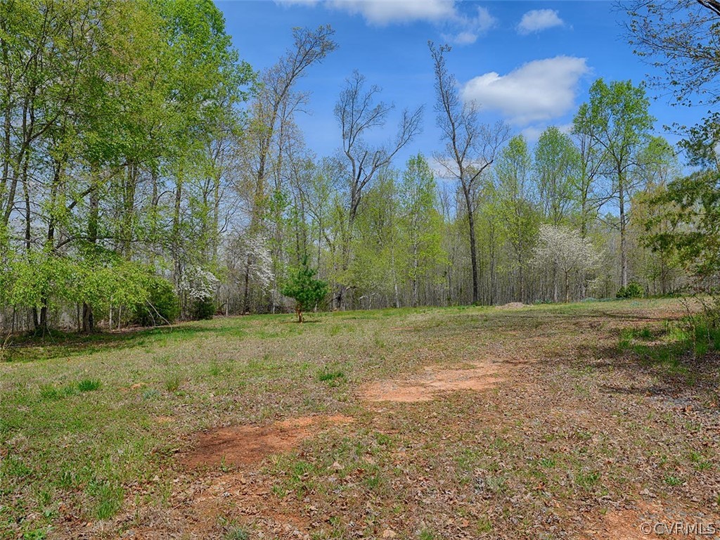 614 Plain Dealing Road Palmyra, VA 22963 - Photo 4 of 31 a view of a field with trees in the background