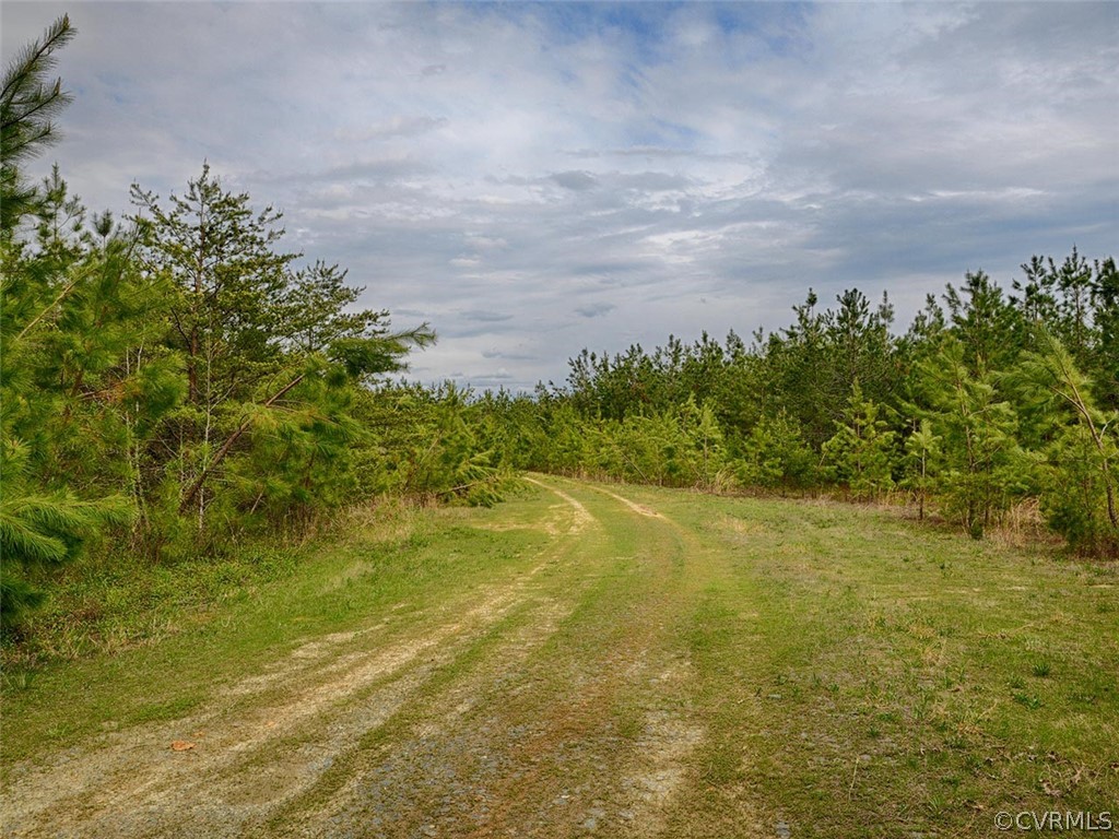 614 Plain Dealing Road Palmyra, VA 22963 - Photo 8 of 31 a view of an ocean from a yard