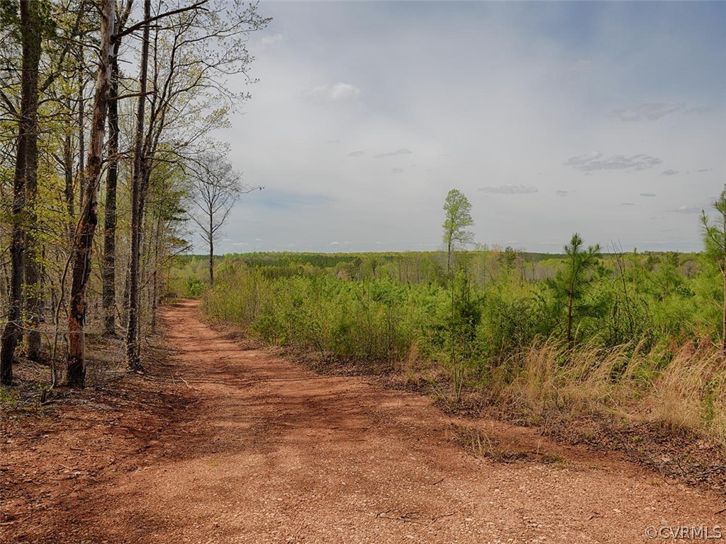 614 Plain Dealing Road Palmyra, VA 22963 - Photo 9 of 31 a view of a field with plants and trees