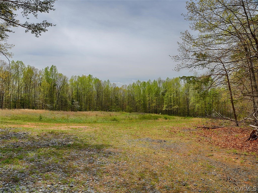 614 Plain Dealing Road Palmyra, VA 22963 - Photo 10 of 31 a view of a field with trees in background