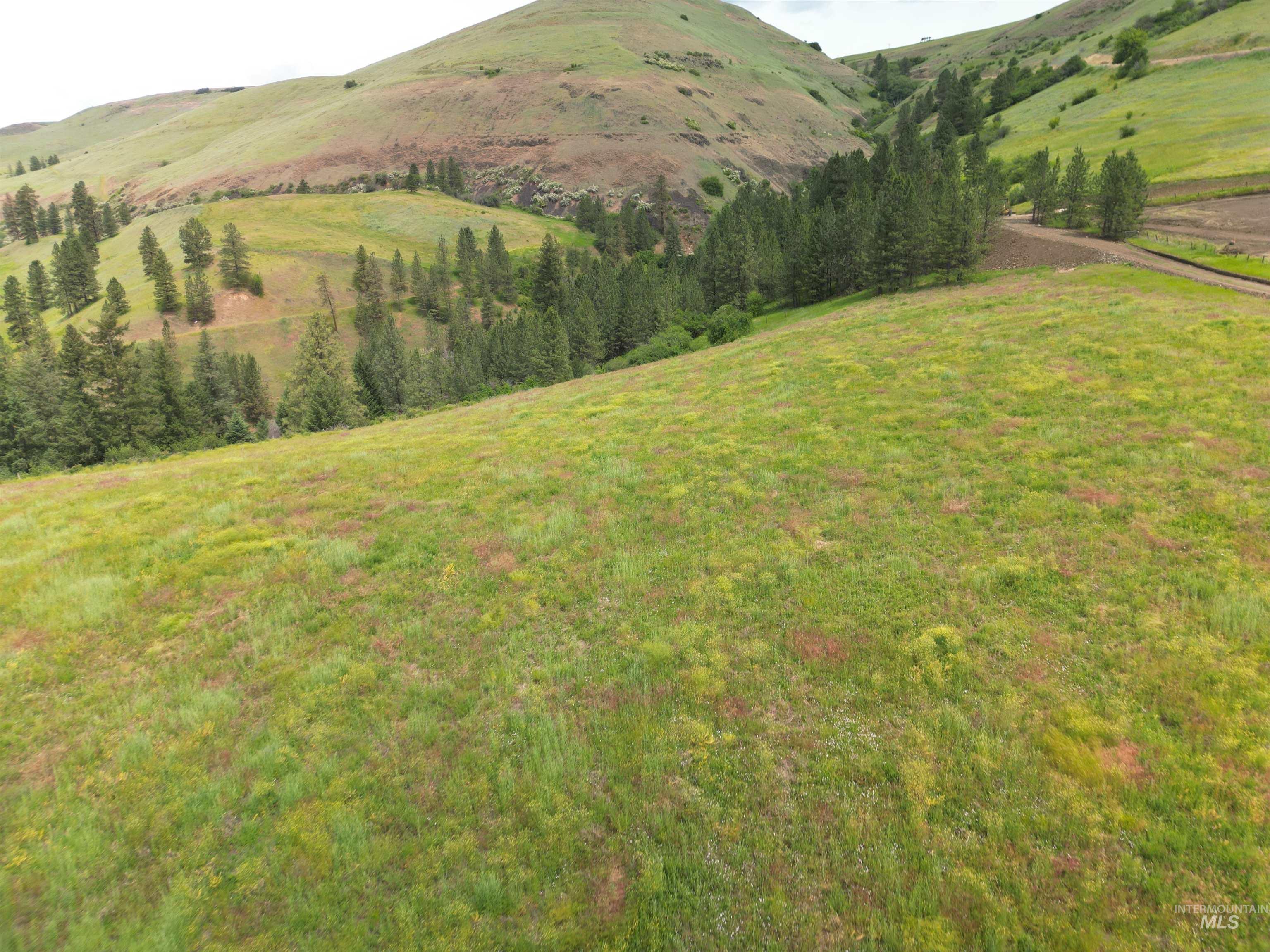 0 American Ridge Road Kendrick, ID 83537 - Photo 5 of 21