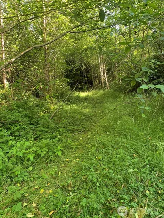 $129,500 | 2-tract Parpala Road, Naselle, WA 98638