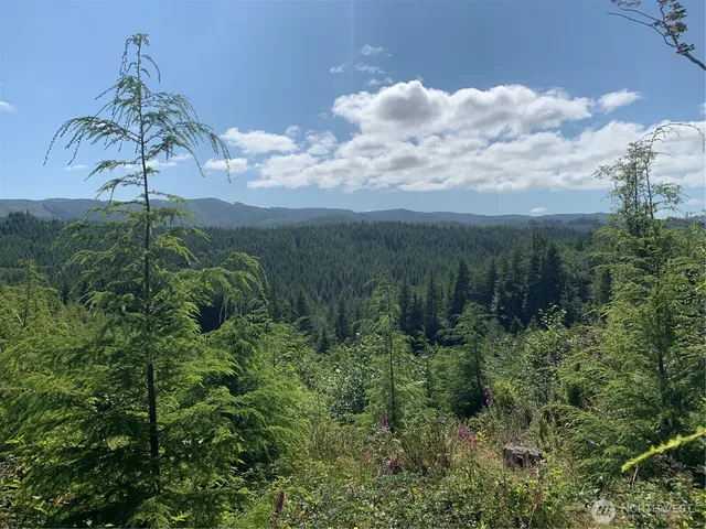 $129,500 | 2-tract Parpala Road, Naselle, WA 98638