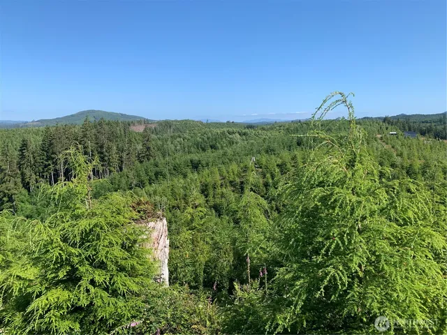 $129,500 | 2-tract Parpala Road, Naselle, WA 98638