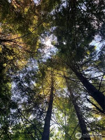 $129,500 | 2-tract Parpala Road, Naselle, WA 98638