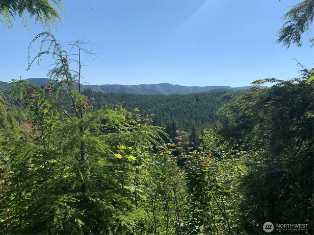 $129,500 | 2-tract Parpala Road, Naselle, WA 98638