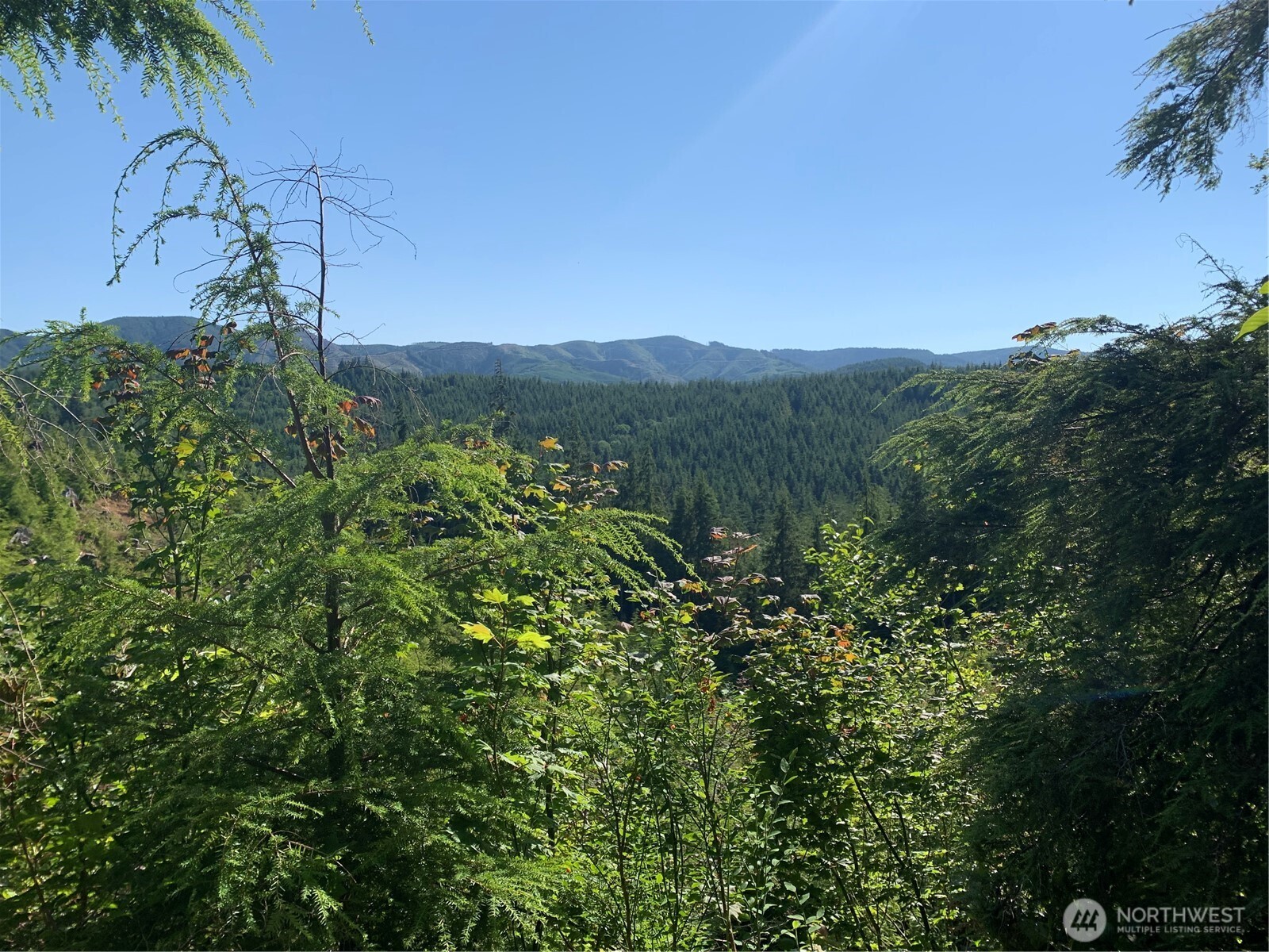 2-tract Parpala Road Naselle, WA 98638 - Photo 18 of 21