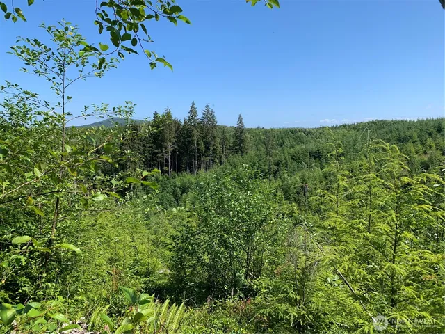 $129,500 | 2-tract Parpala Road, Naselle, WA 98638