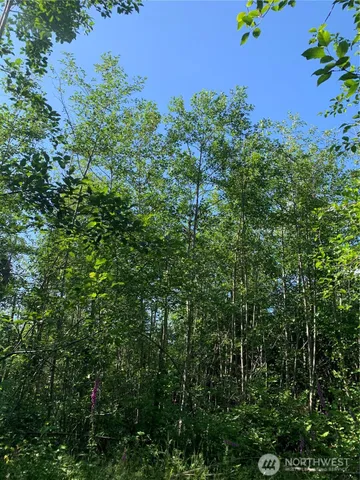 $129,500 | 2-tract Parpala Road, Naselle, WA 98638