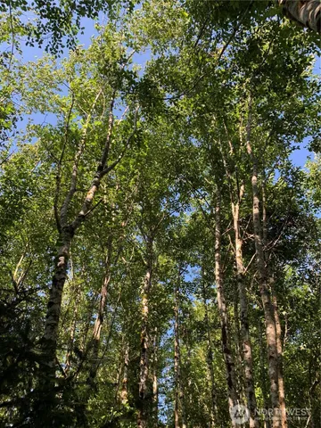 $129,500 | 2-tract Parpala Road, Naselle, WA 98638