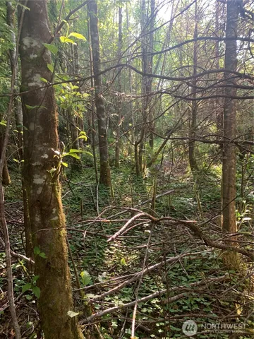 $129,500 | 2-tract Parpala Road, Naselle, WA 98638