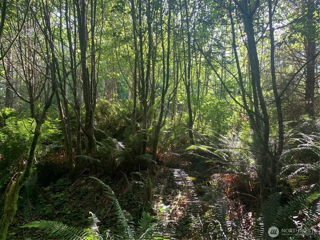 $129,500 | 2-tract Parpala Road, Naselle, WA 98638