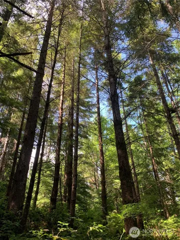 $129,500 | 2-tract Parpala Road, Naselle, WA 98638