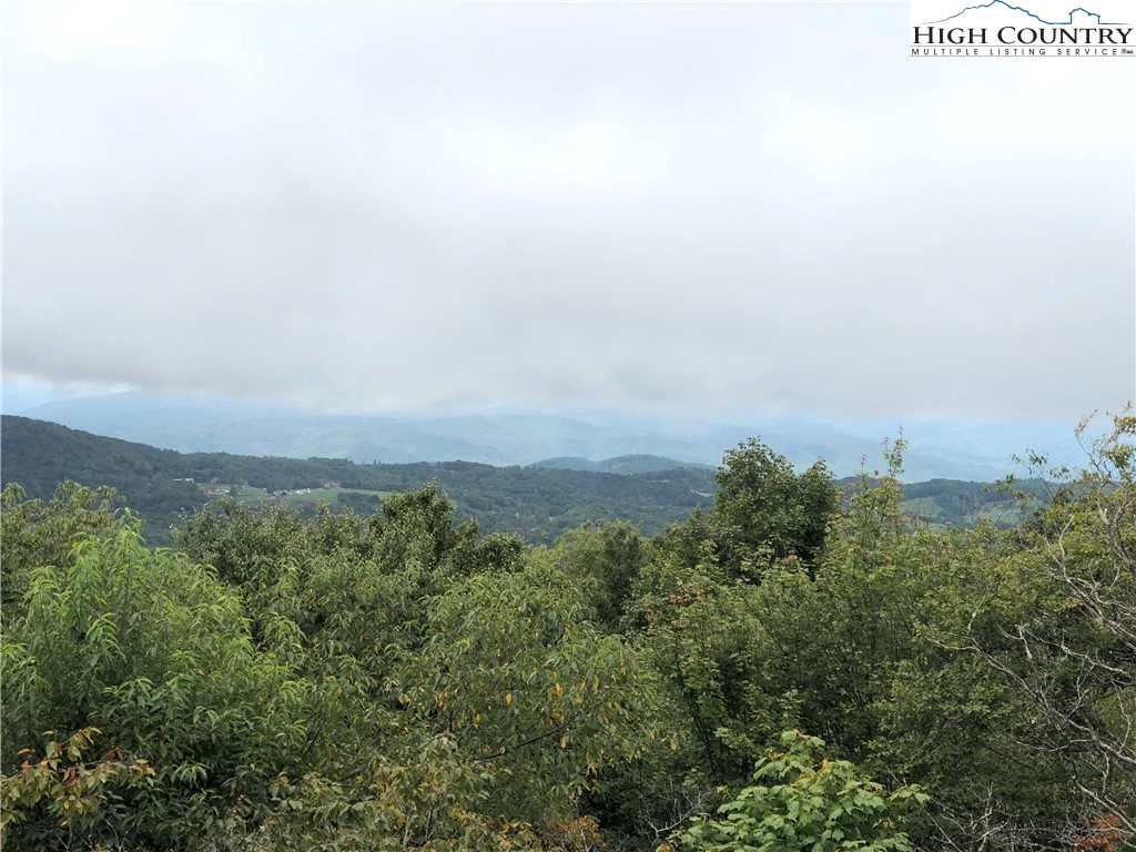 320 North Pinnacle Ridge Road Beech Mountain, NC 28604 - Photo 1 of 45 Gallery Image 1