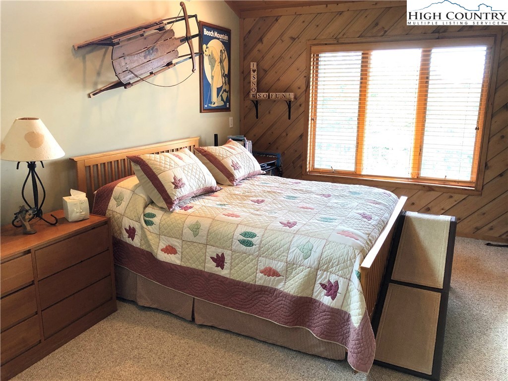320 North Pinnacle Ridge Road Beech Mountain, NC 28604 - Photo 18 of 45 Gallery Image 18