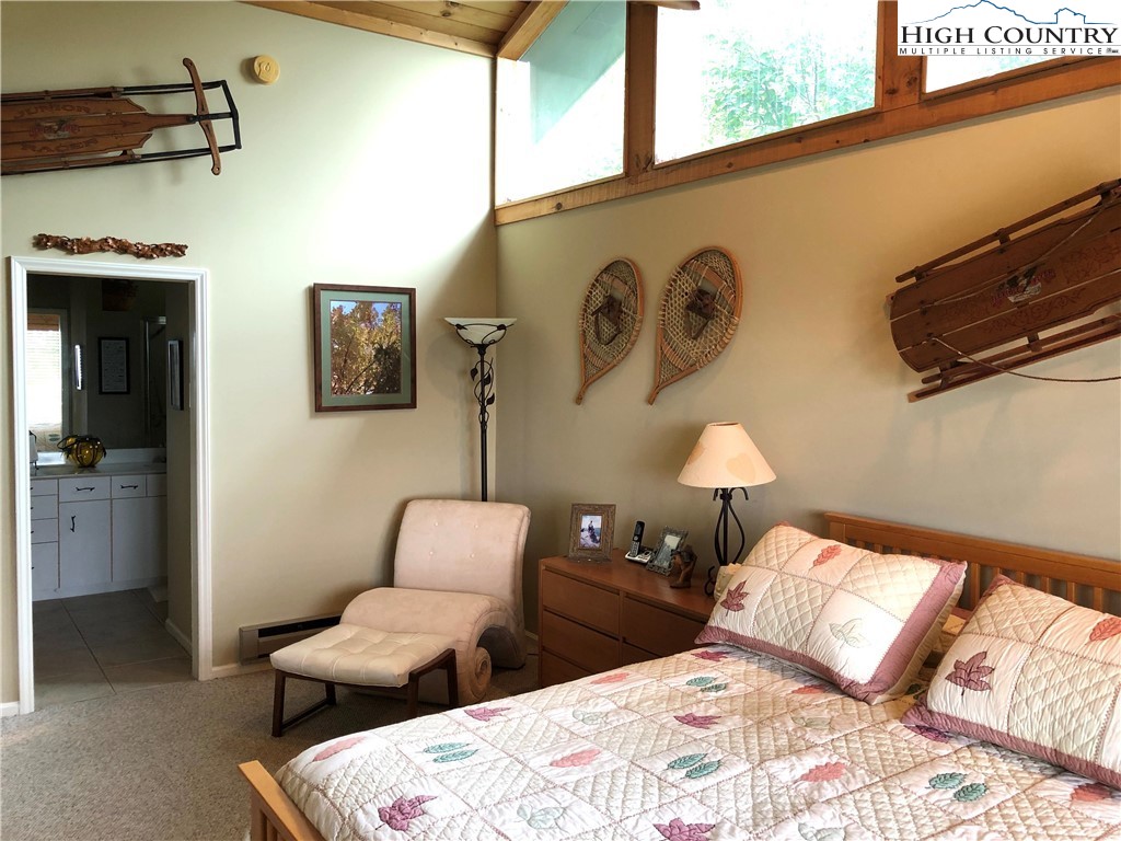 320 North Pinnacle Ridge Road Beech Mountain, NC 28604 - Photo 20 of 45 Gallery Image 20