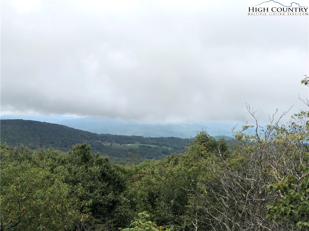 320 North Pinnacle Ridge Road Beech Mountain, NC 28604 - Photo 2 of 45 Gallery Image 2