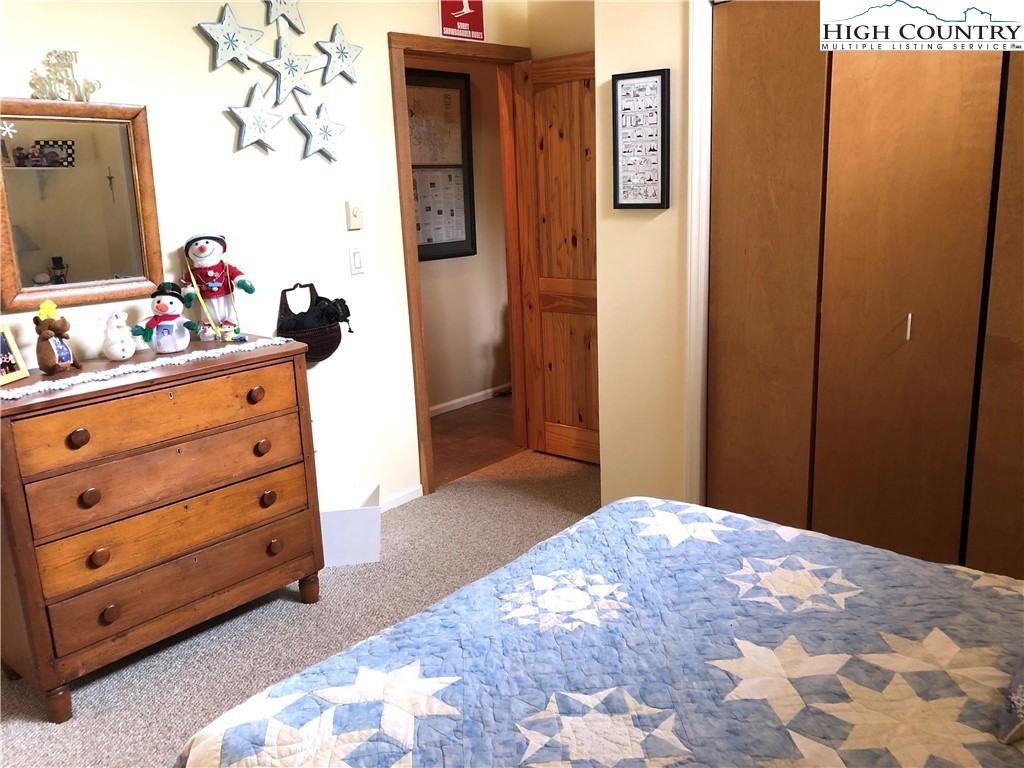 320 North Pinnacle Ridge Road Beech Mountain, NC 28604 - Photo 23 of 45 Gallery Image 23
