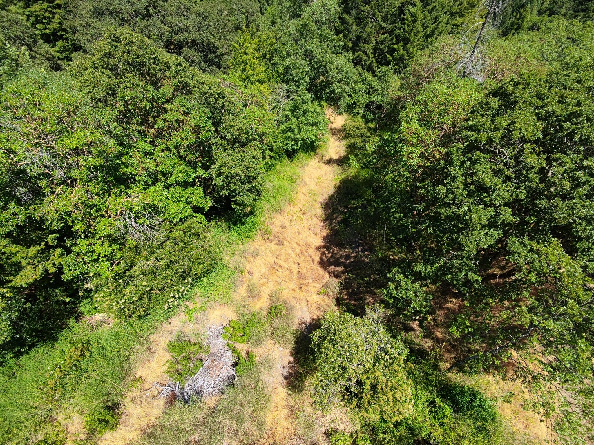 308 West Coast Road Redway, CA 95560 - Photo 3 of 56