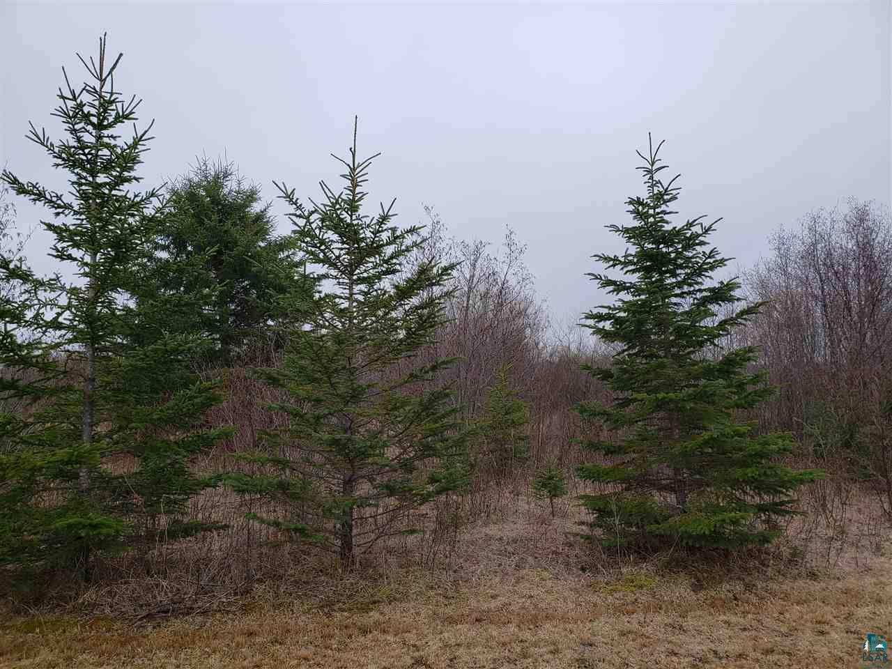 54-xx Midbon Road Superior, WI 54880 - Photo 3 of 7