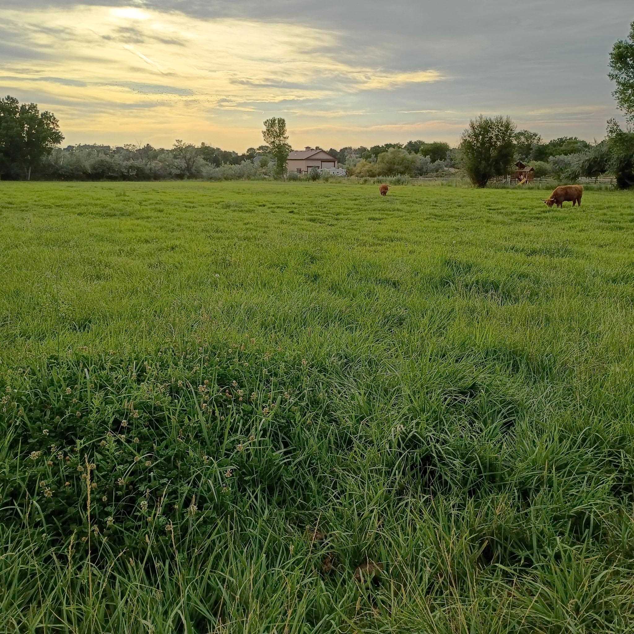 847 26 Road Grand Junction, CO 81505 - Photo 33 of 41 a view of an ocean from a yard