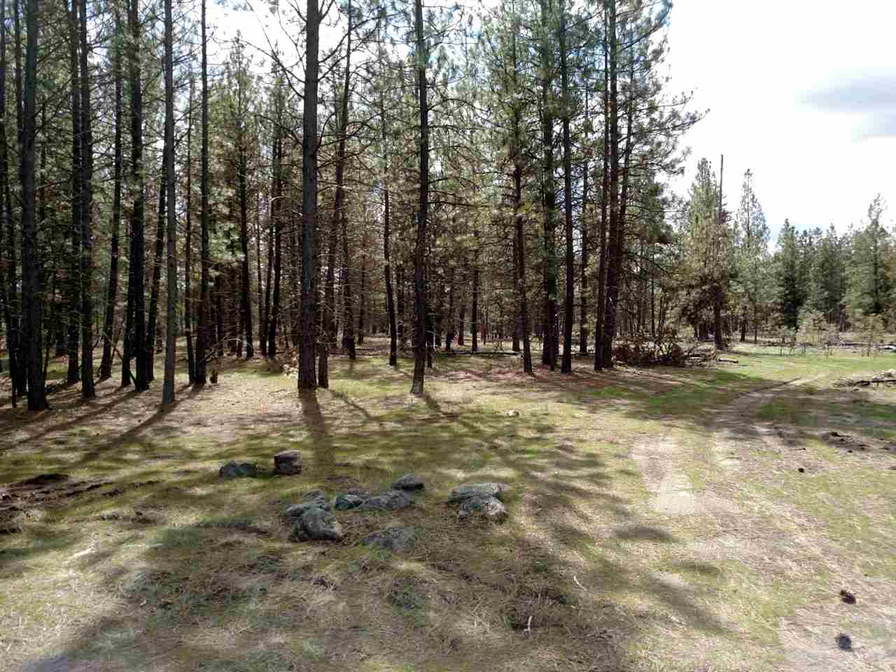 X Betteridge Road Valley, WA 99181 - Photo 3 of 8