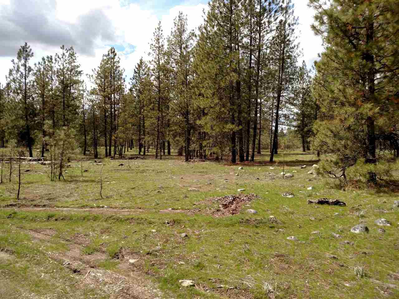 X Betteridge Road Valley, WA 99181 - Photo 4 of 8