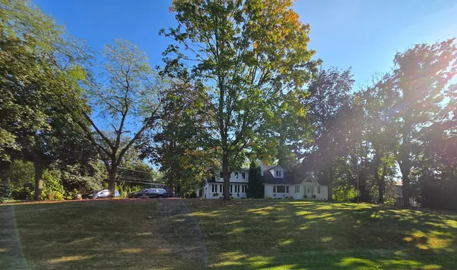 a view of road with trees