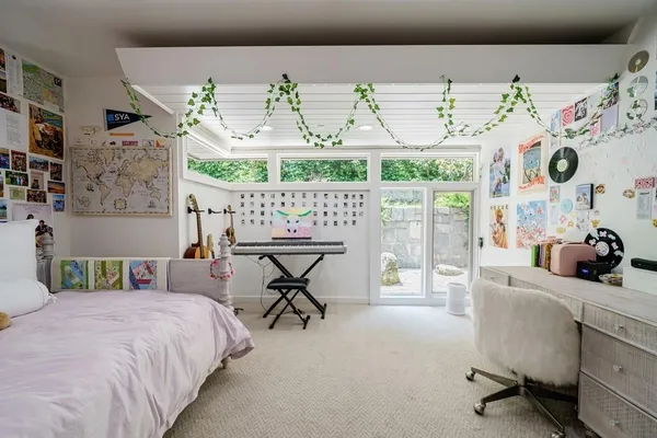 a view of a tree in a forest