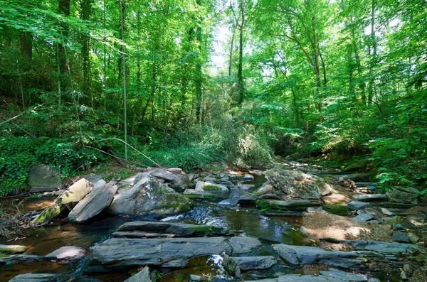 $2,650,000 | 465 Hillside Drive Northwest, Atlanta, GA 30342