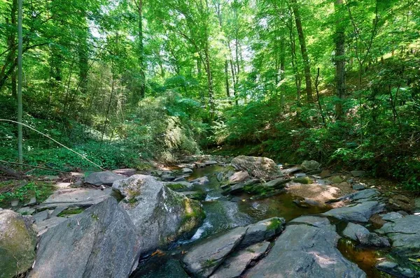 $2,650,000 | 465 Hillside Drive Northwest, Atlanta, GA 30342