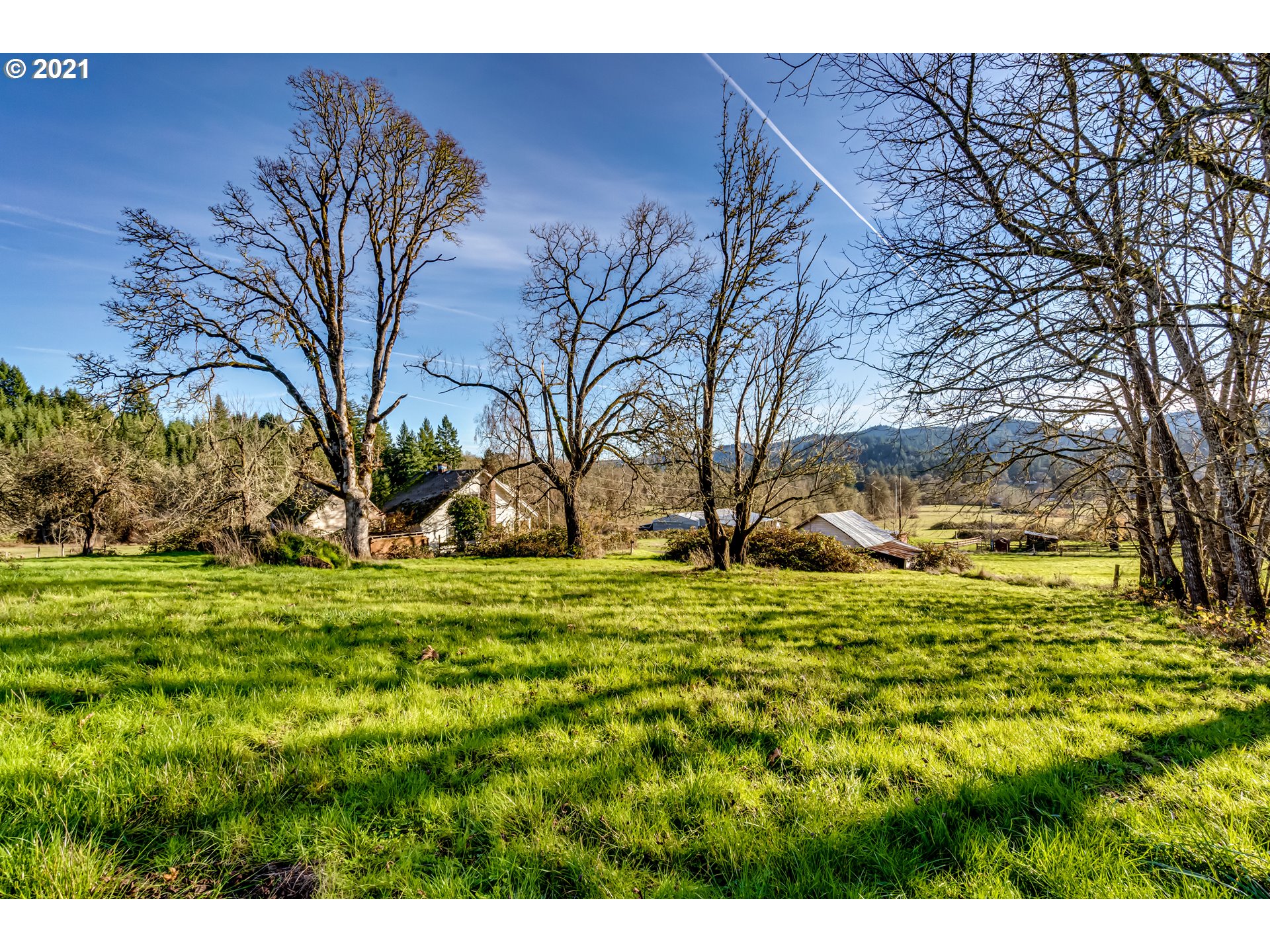 86248 Smigley Road Veneta, OR 97487 - Photo 5 of 25 Gallery Image 5