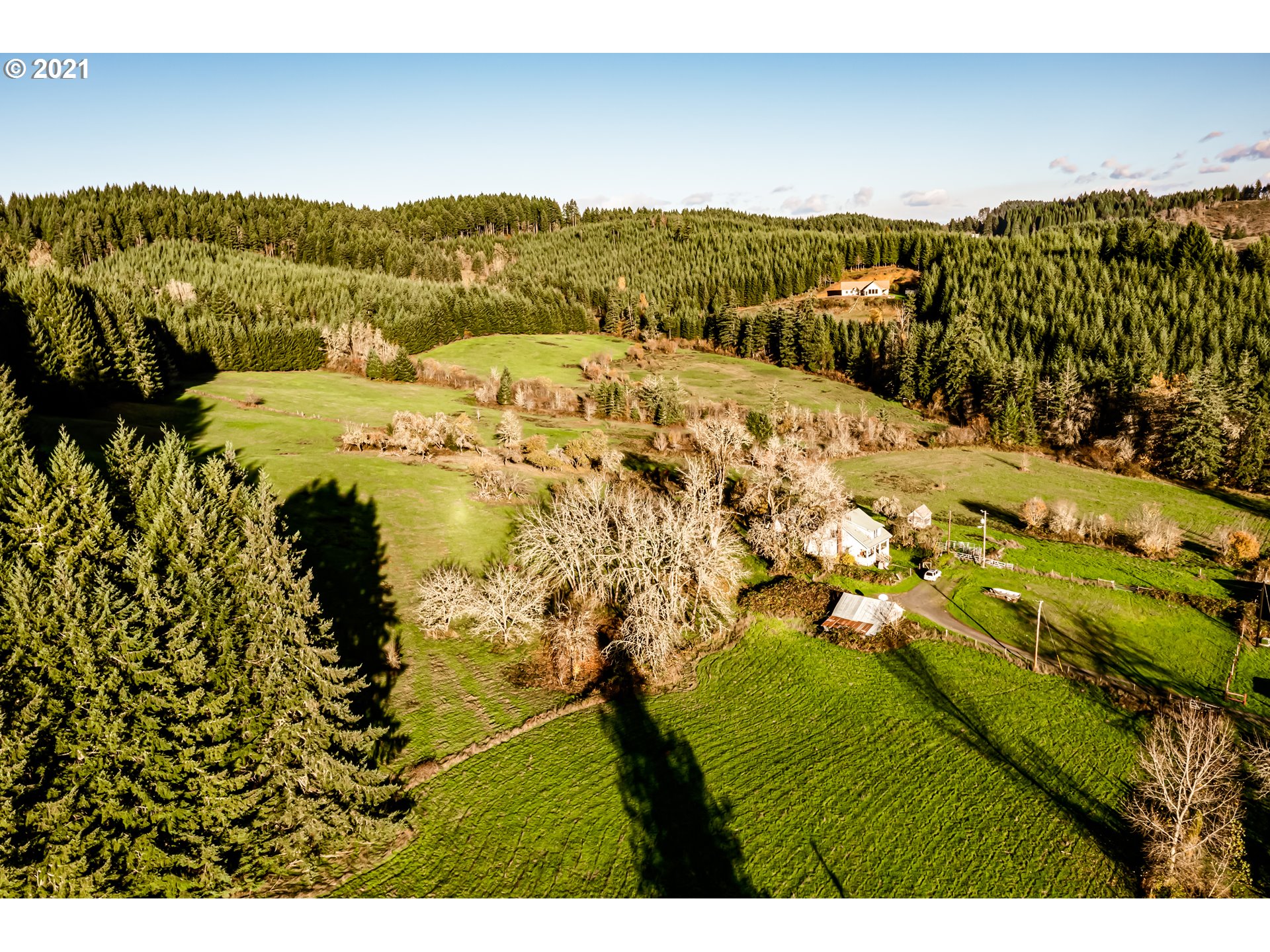 86248 Smigley Road Veneta, OR 97487 - Photo 8 of 25 Gallery Image 8