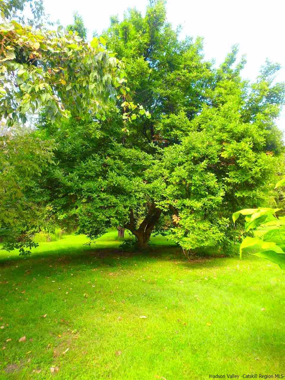 1375 Berme Road Kerhonkson, NY 12446 - Photo 6 of 18 Photo 6