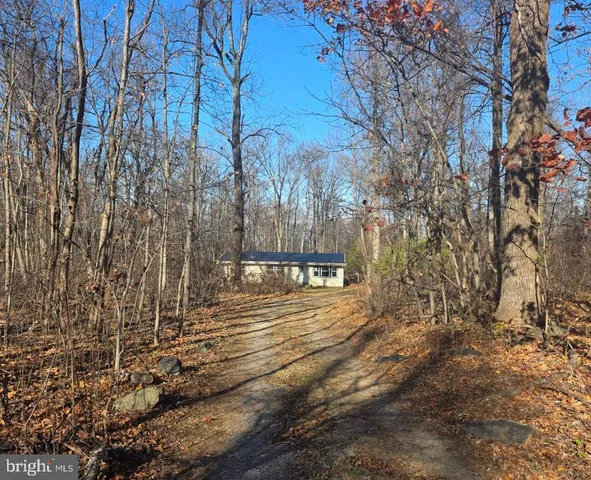 a view of a yard with plants and trees