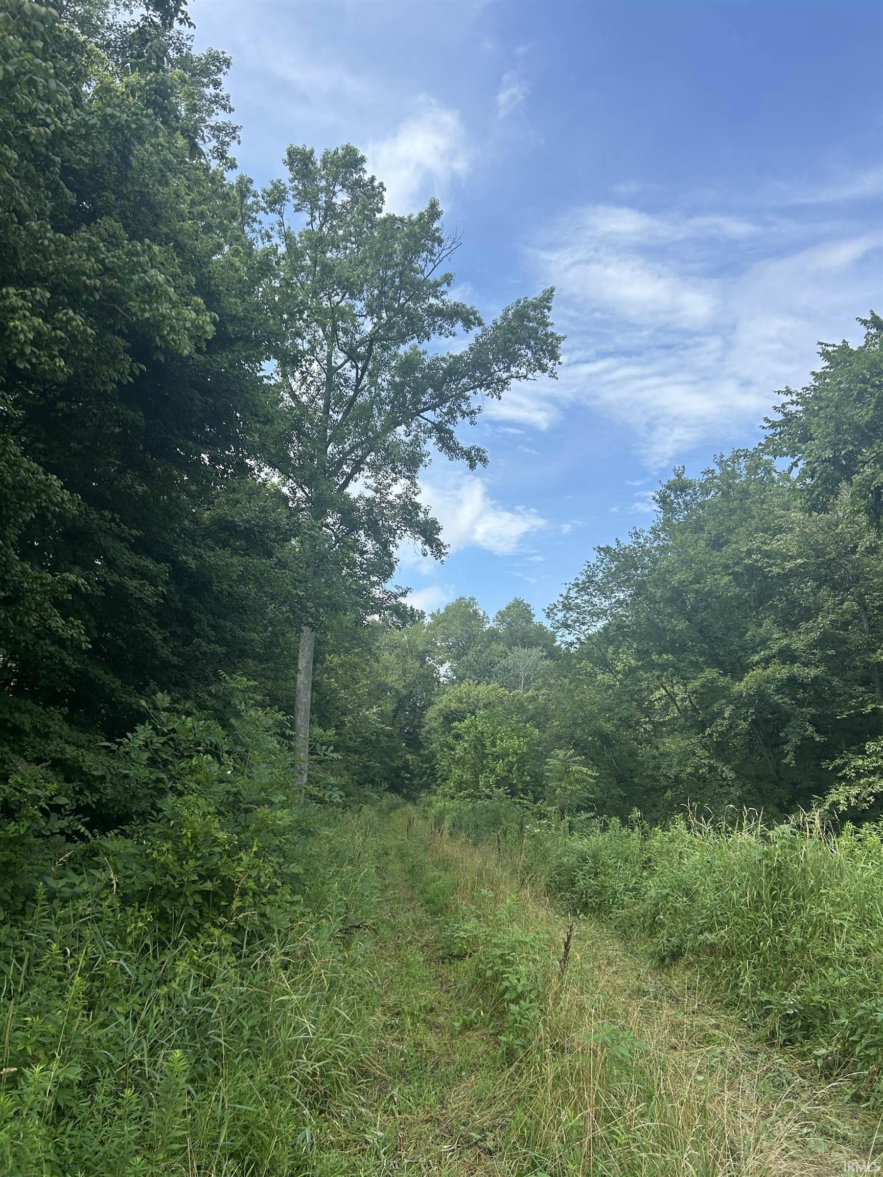 0 Lincoln Trail Road Gentryville, IN 47537 - Photo 2 of 8