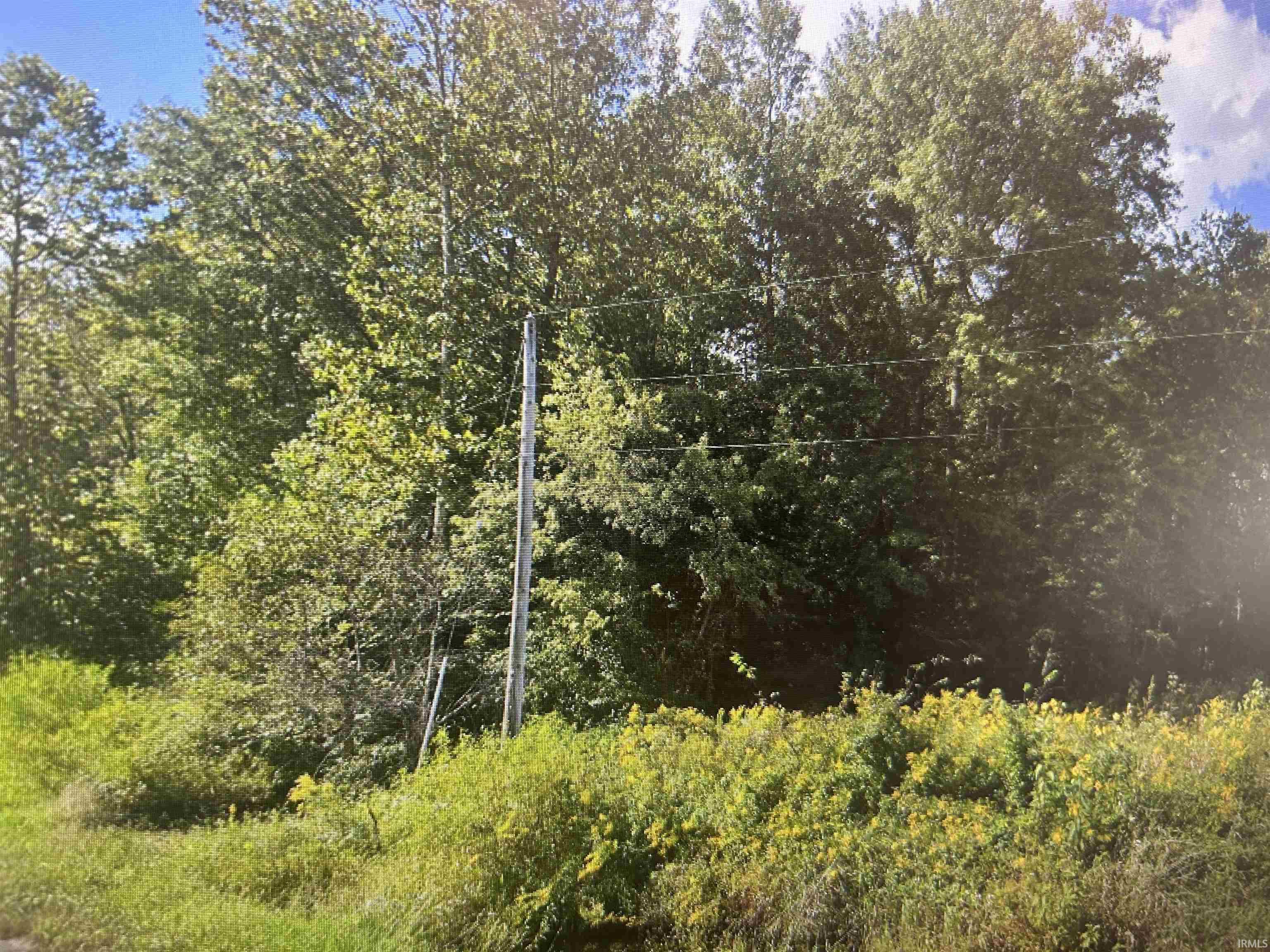 0 Lincoln Trail Road Gentryville, IN 47537 - Photo 6 of 8