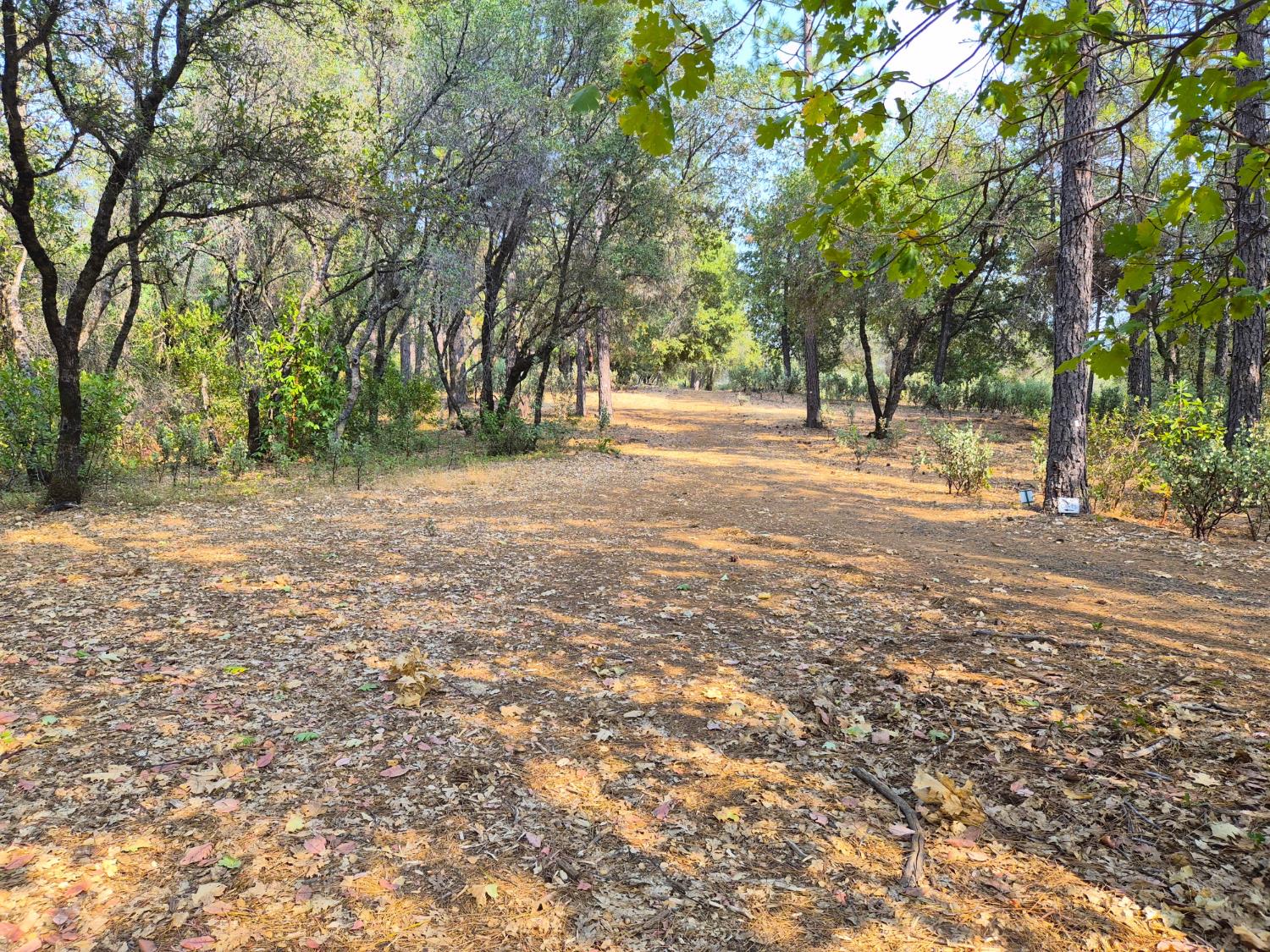 179 Elams Ranch Road Oroville, CA 95966 - Photo 27 of 36 Gallery Image 27