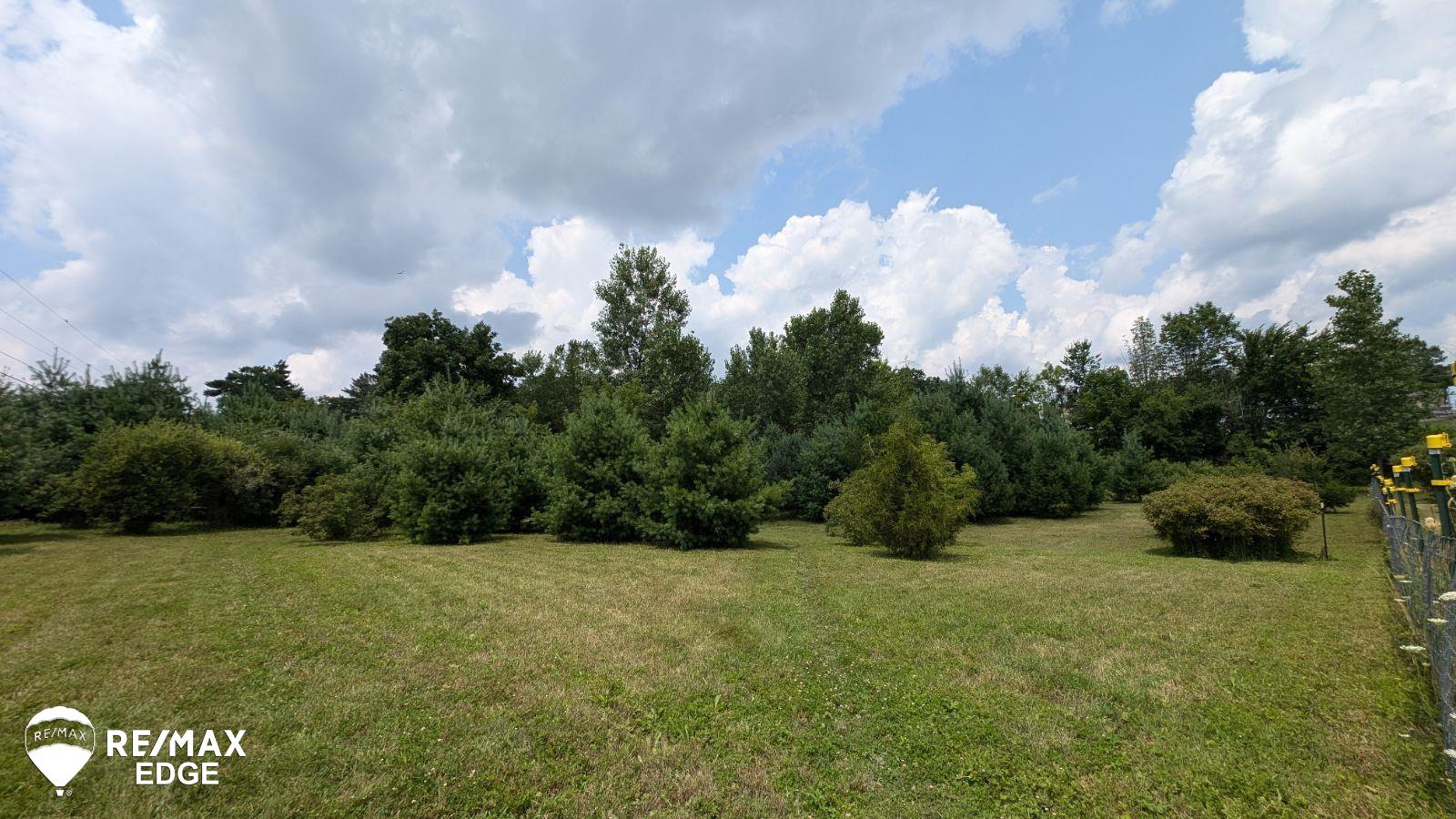 0 Maple Leaf Road Lapeer, MI 48446 - Photo 1 of 13