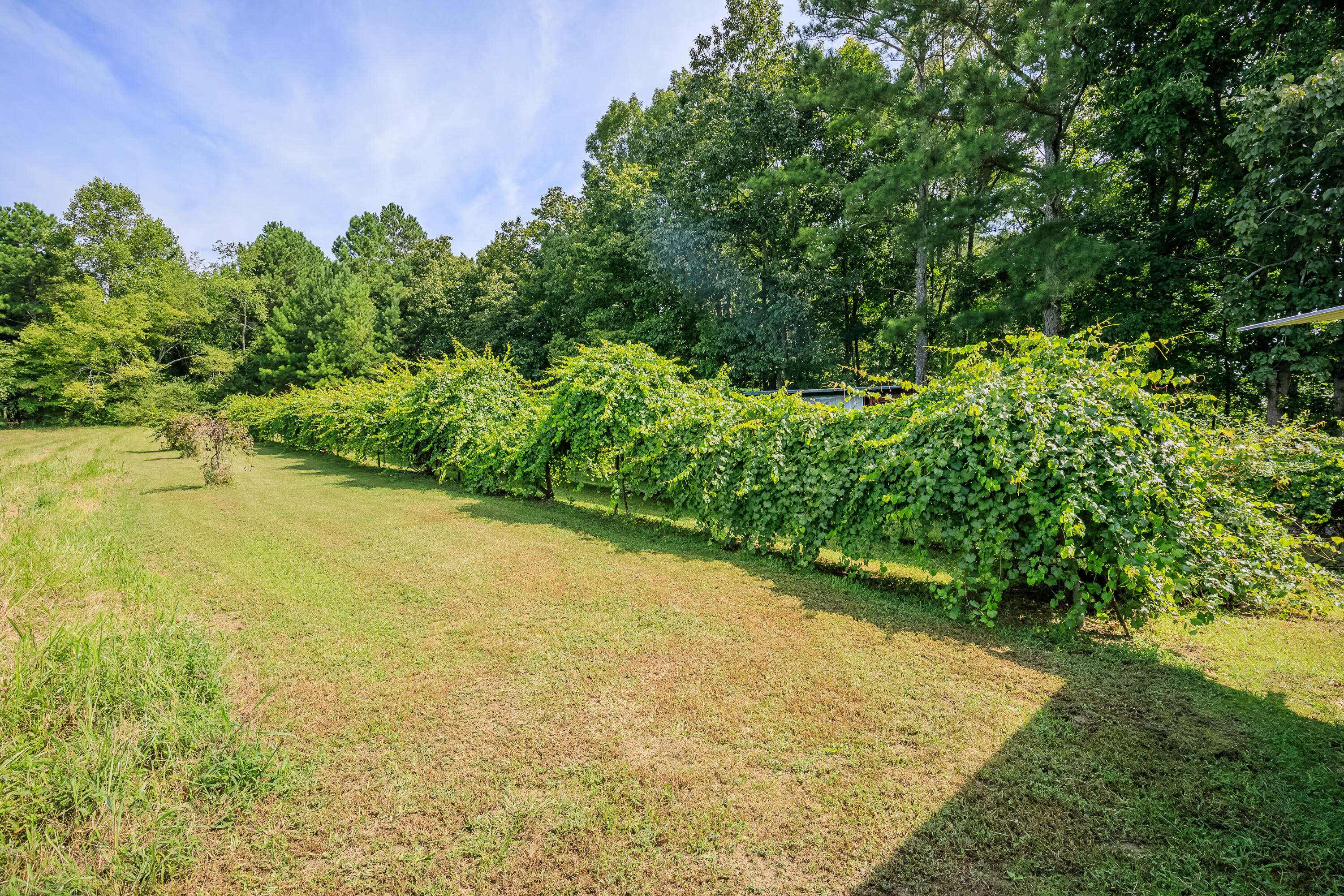 2177 Lake Howard Road LaFayette, GA 30728 - Photo 44 of 52 Exterior