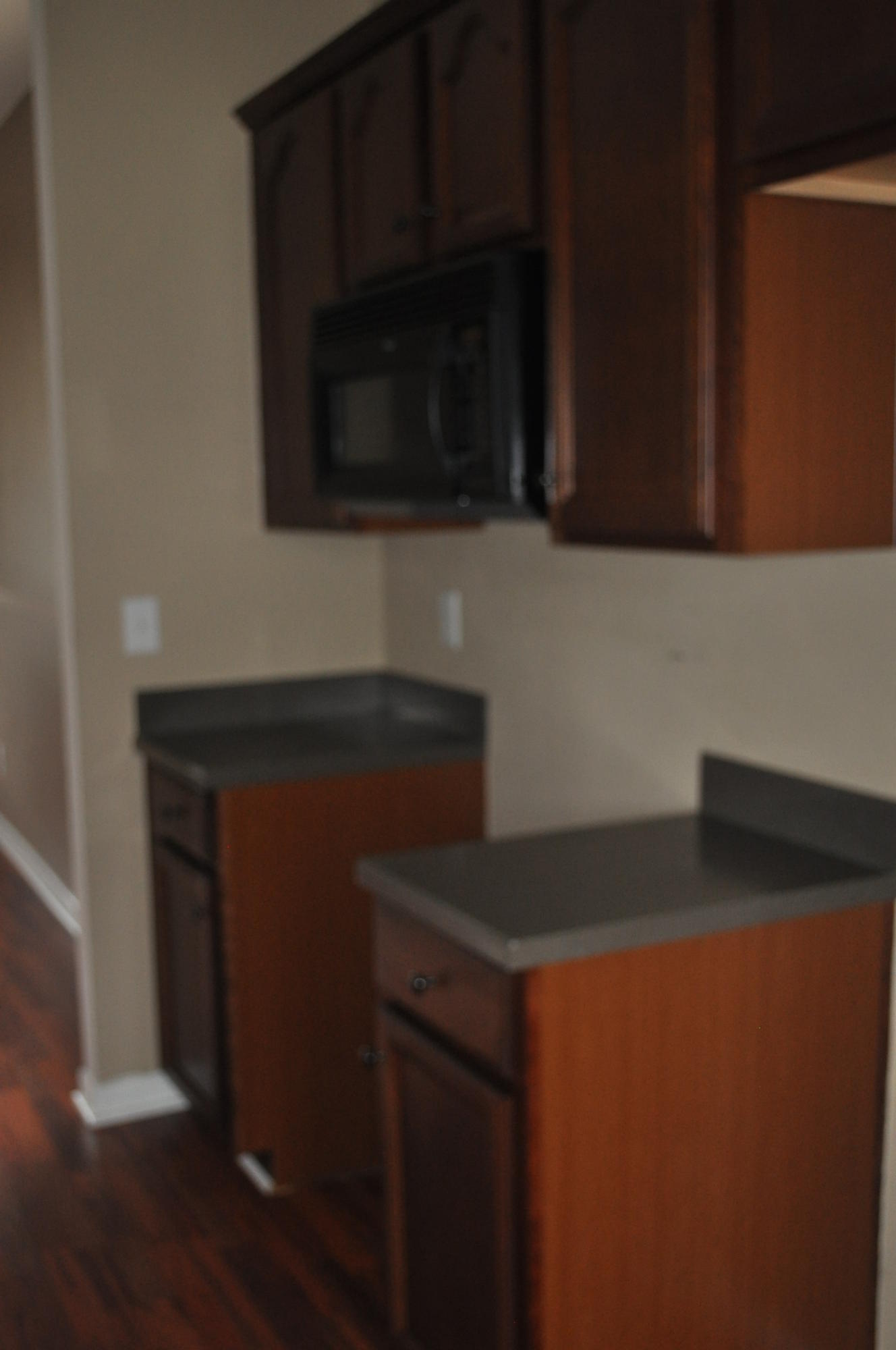 228 Killarney Trail Moncks Corner, SC 29461 - Photo 4 of 10 2015-09-16 16.42.05