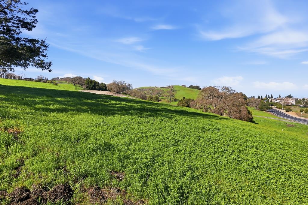 11868 Bloomington Way Dublin, CA 94568 - Photo 56 of 59 a view of a lush green outdoor space with a swimming pool and valleys in the background
