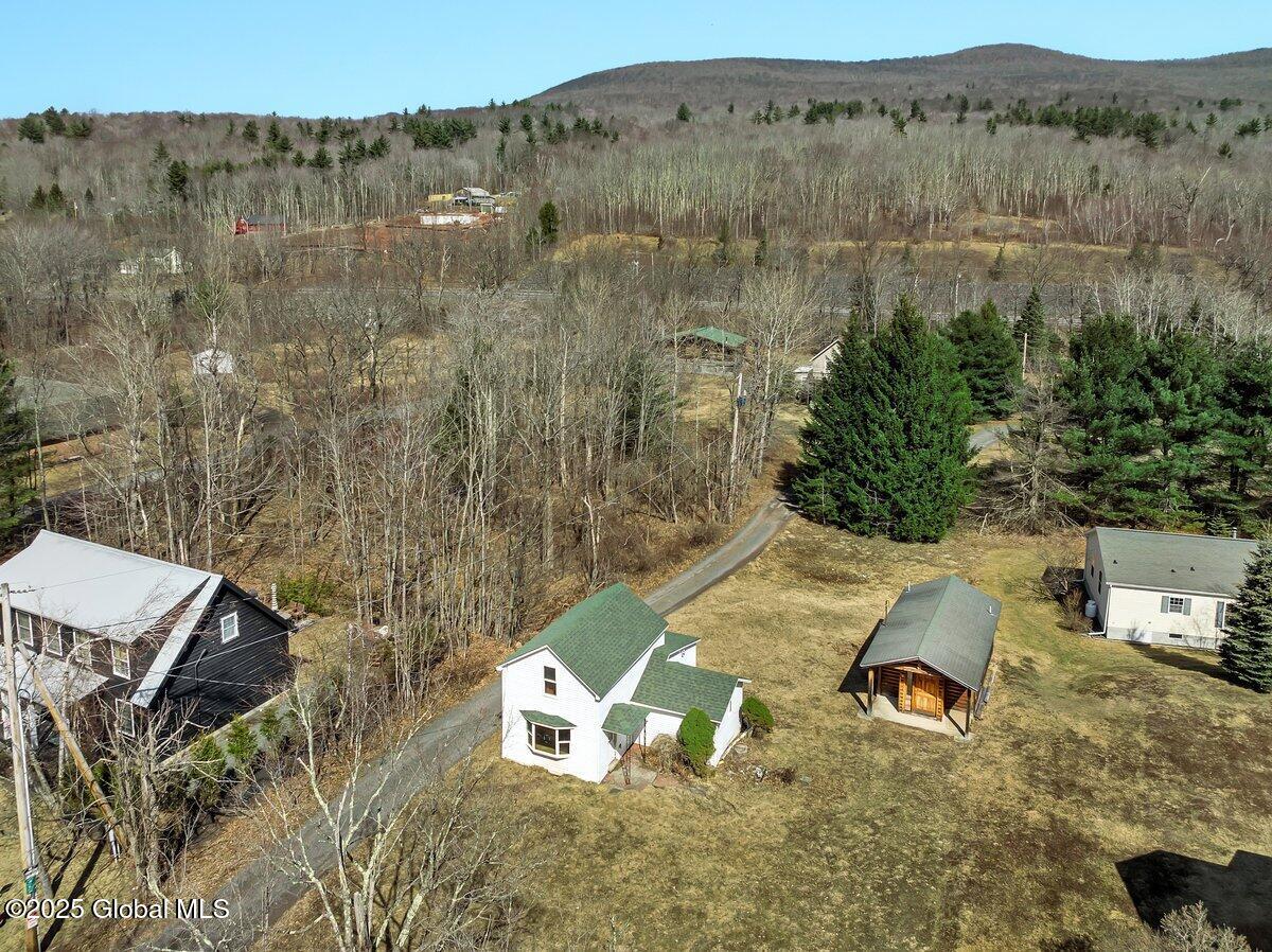 58 Maple Avenue Hunter, NY 12442 - Photo 17 of 20 DJI_0229 (1)