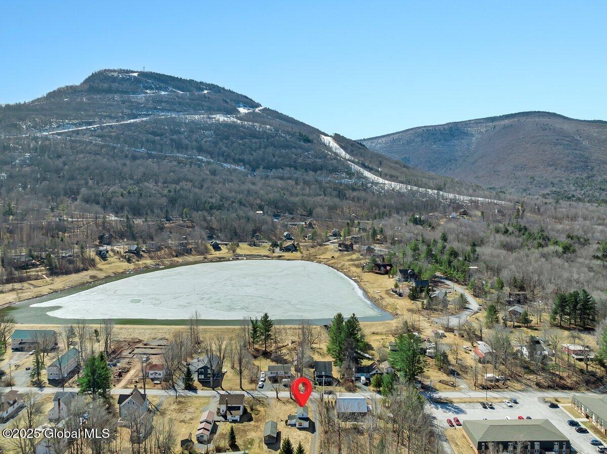 58 Maple Avenue Hunter, NY 12442 - Photo 18 of 20 DJI_0209