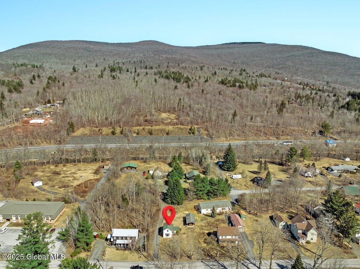 58 Maple Avenue Hunter, NY 12442 - Photo 20 of 20 DJI_0194