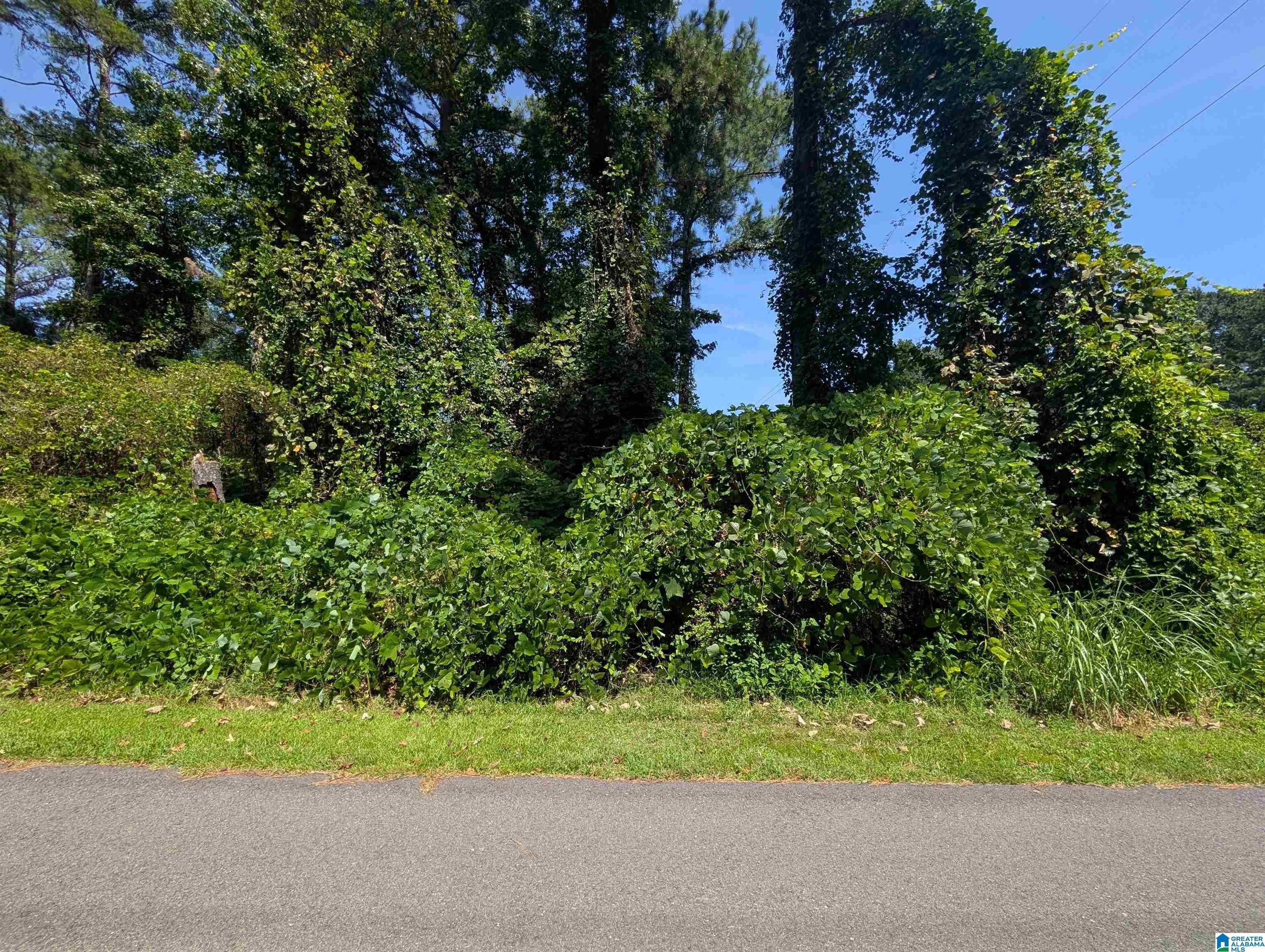 0 Hilltop Road Weaver, AL 36277 - Photo 12 of 18 Gallery Image 12