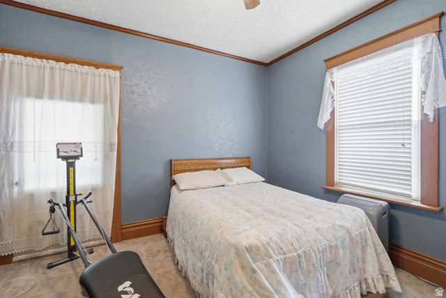 5264 West 5500th Street South Hooper, UT 84315 - Photo 22 of 38 Carpeted room featuring two windows with wood trim, crown molding, and textured blue wall finishes