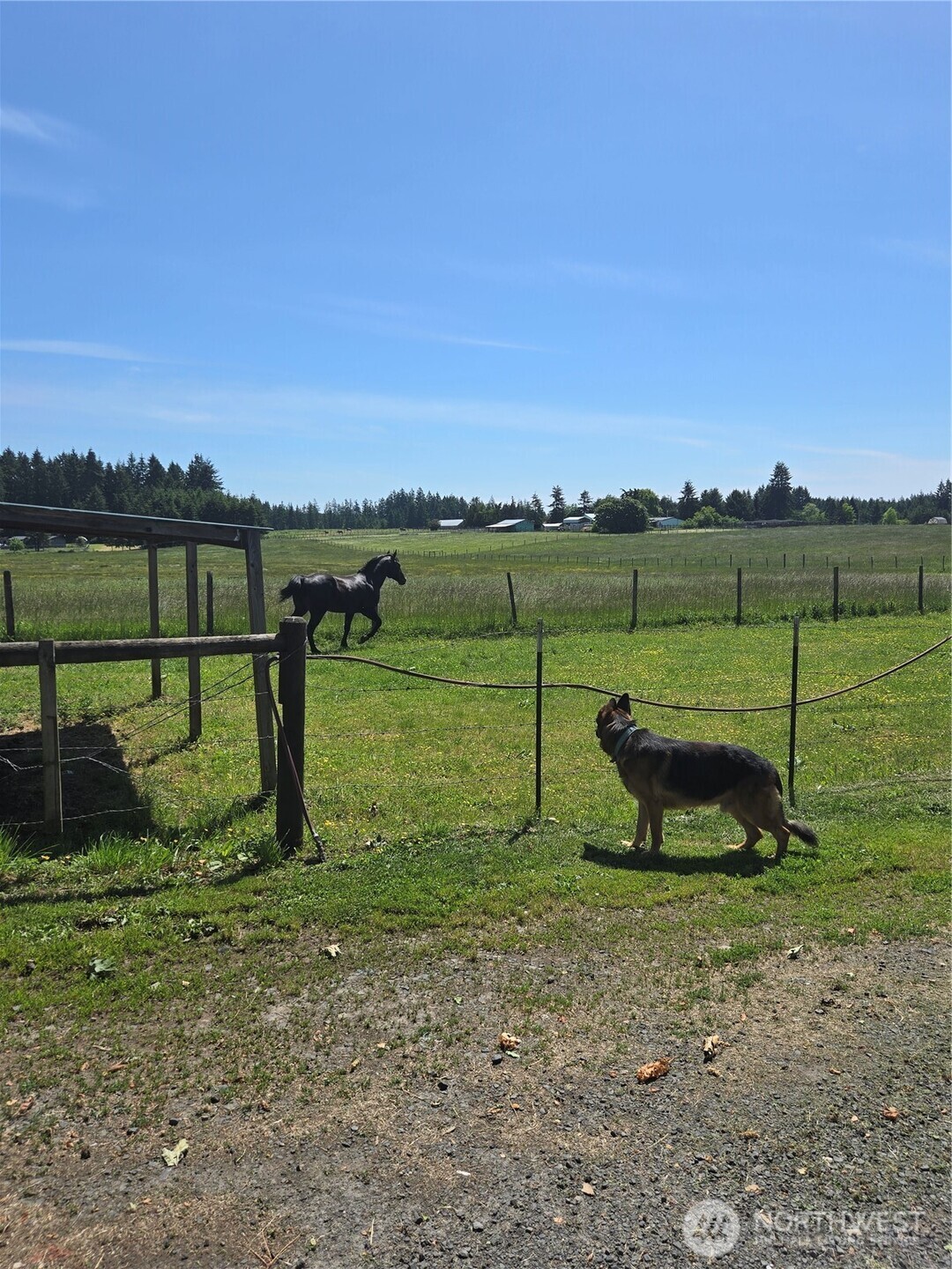 205 Nikula Road Winlock, WA 98596 - Photo 24 of 37