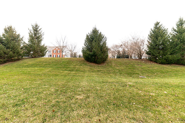 604 Springbrook Trail North Oswego, IL 60543 - Photo 21 of 22 a view of an outdoor space and a yard
